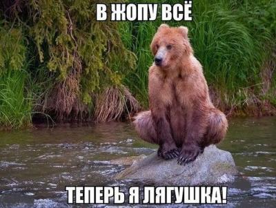 Прикрепленное изображение: podb_02.jpg